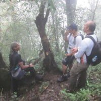 Di Antara Kabut Gunung Puntang