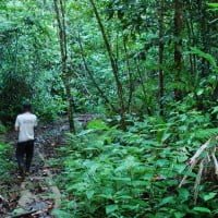 Ekspedisi Andalas 1991 : Pak Karso Sang Pawang Hutan