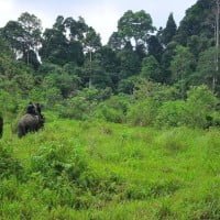 Ekspedisi Andalas 1991 : Sekeping Surga di Pamerihan