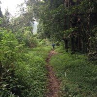 Traill Running Menembus Hutan Gunung Lingkung